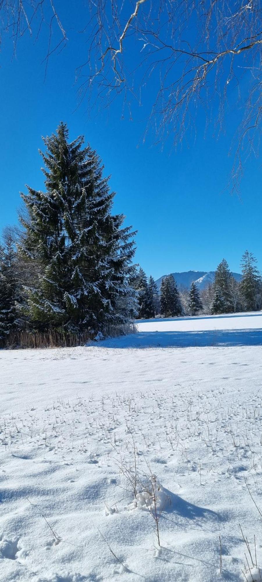 Aparthotel Werdenfels Murnau am Staffelsee Bagian luar foto