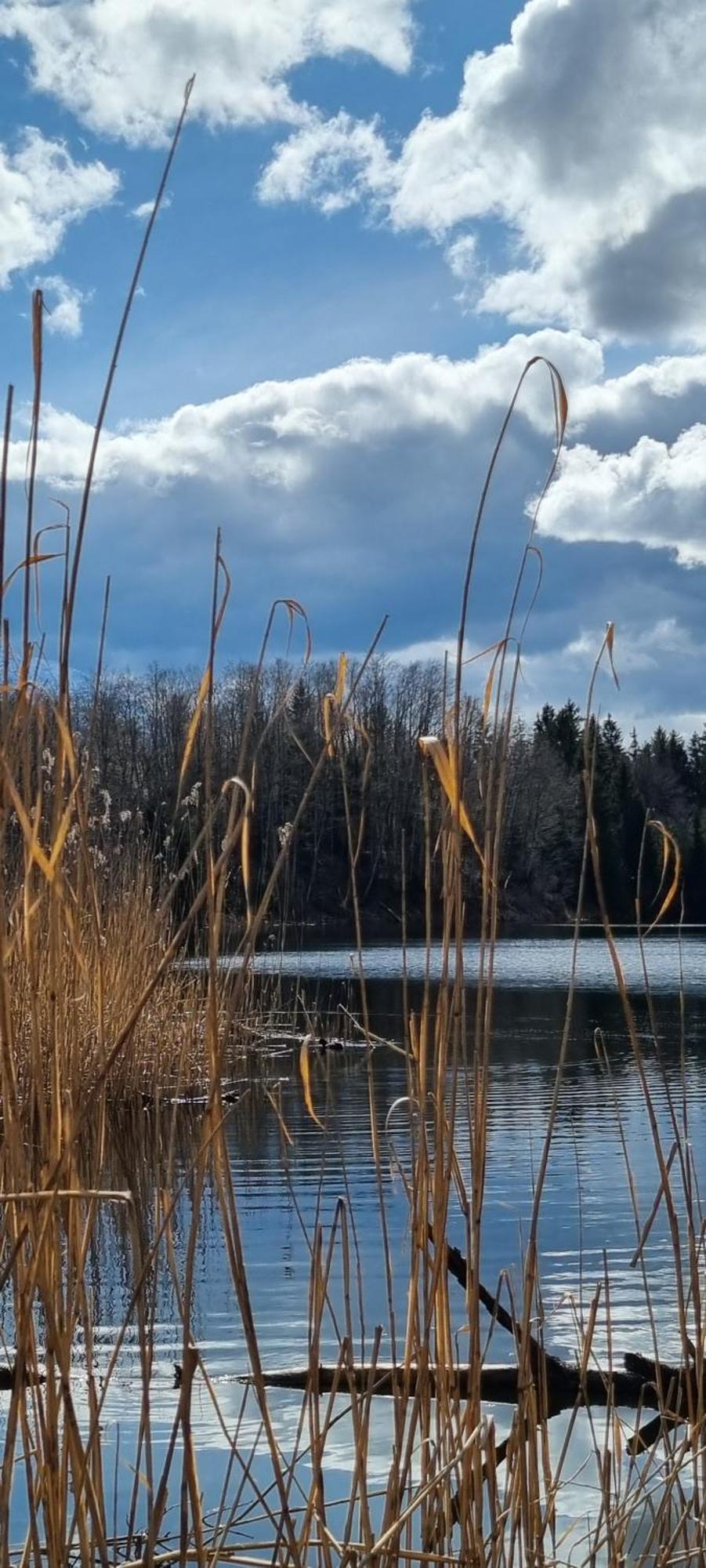 Aparthotel Werdenfels Murnau am Staffelsee Bagian luar foto